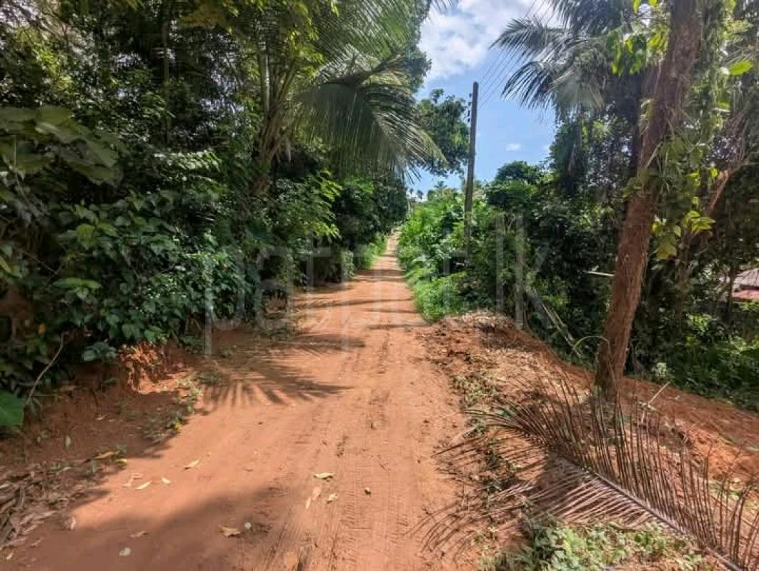 Commercial Land for Sale in Kalagedihena