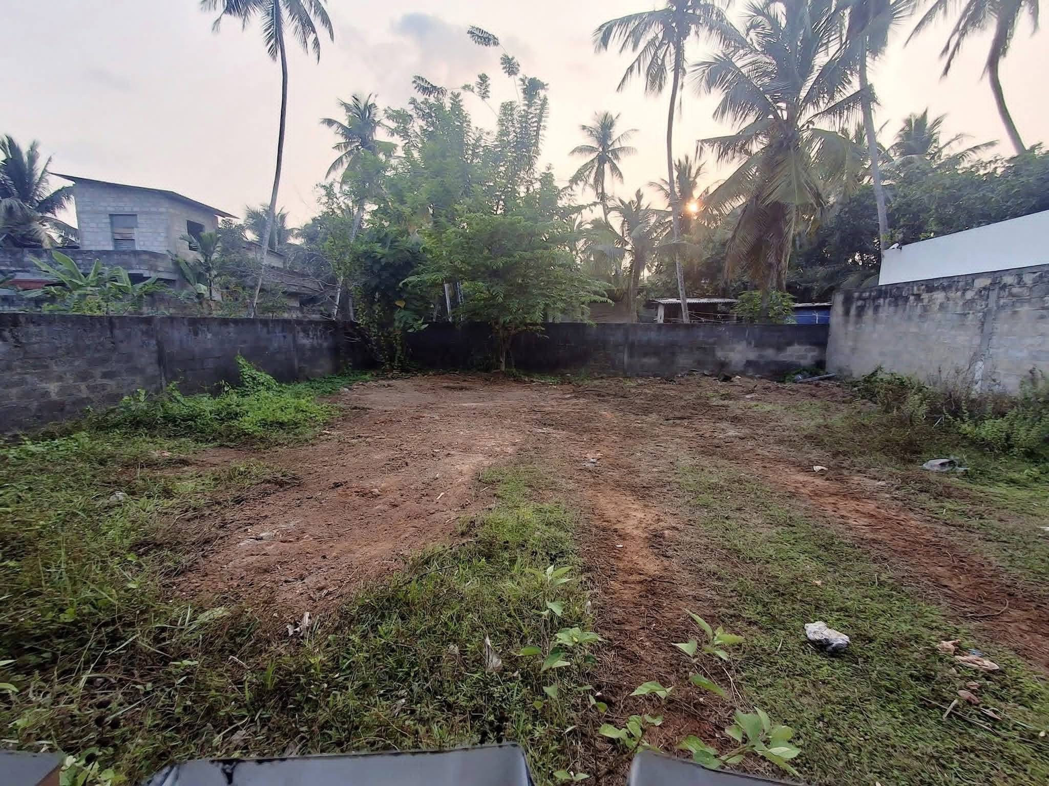 Agricultural Land for Sale in Panadura