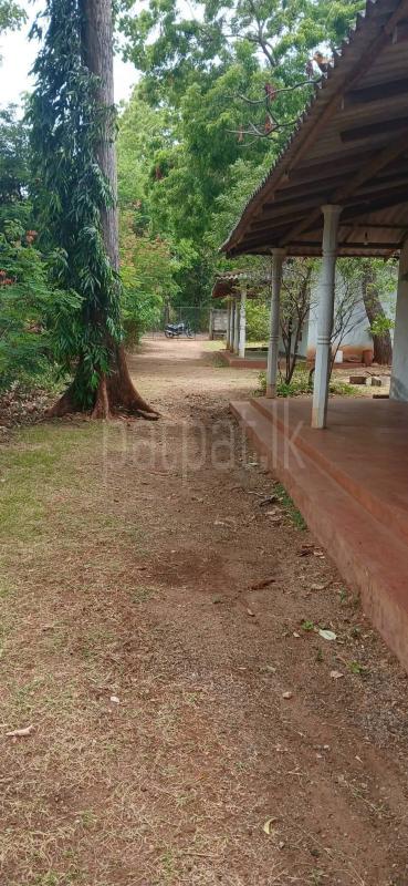 Agricultural Land for Sale in Kataragama
