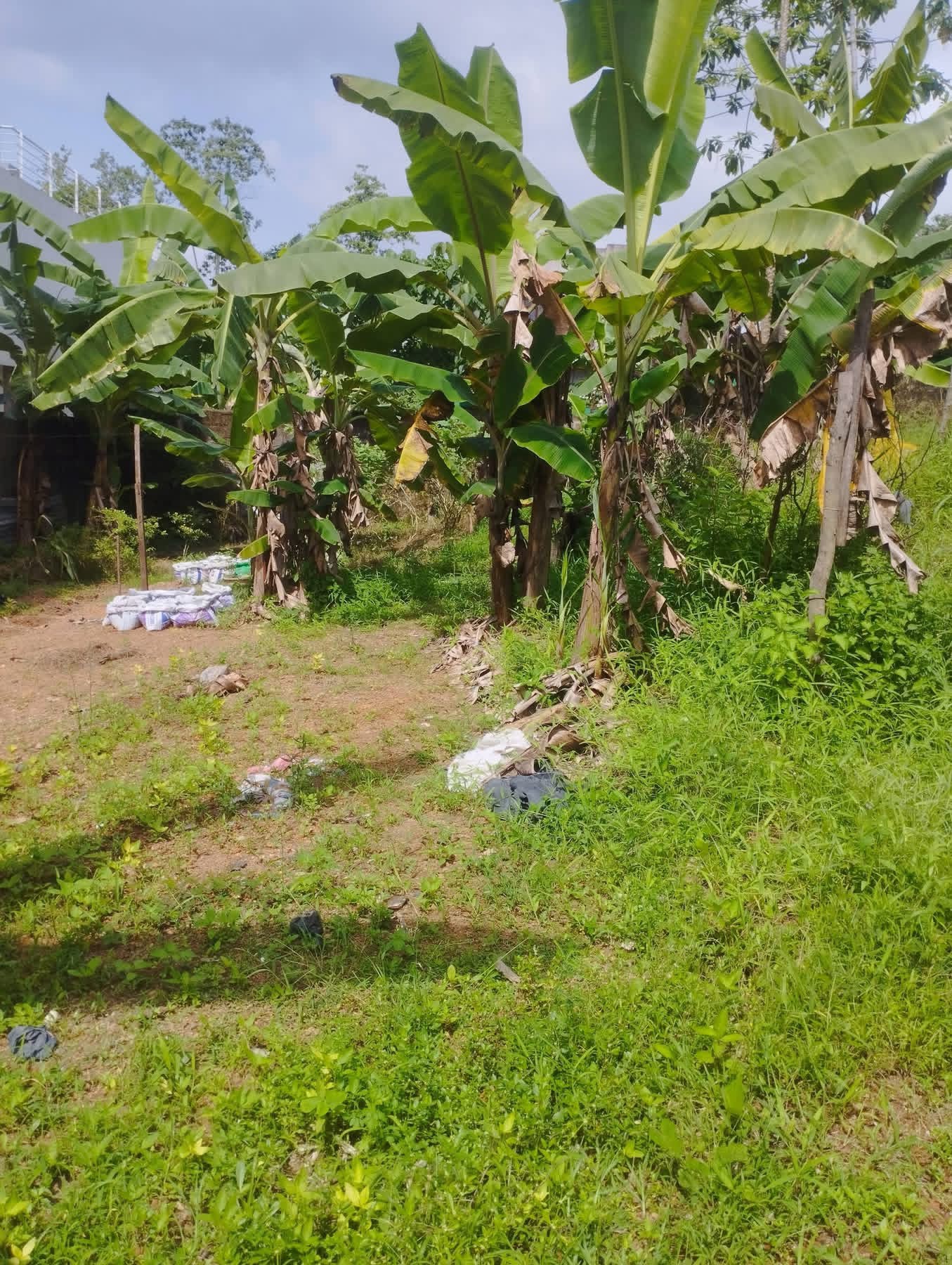 Residential Land for Sale in Pannipitiya