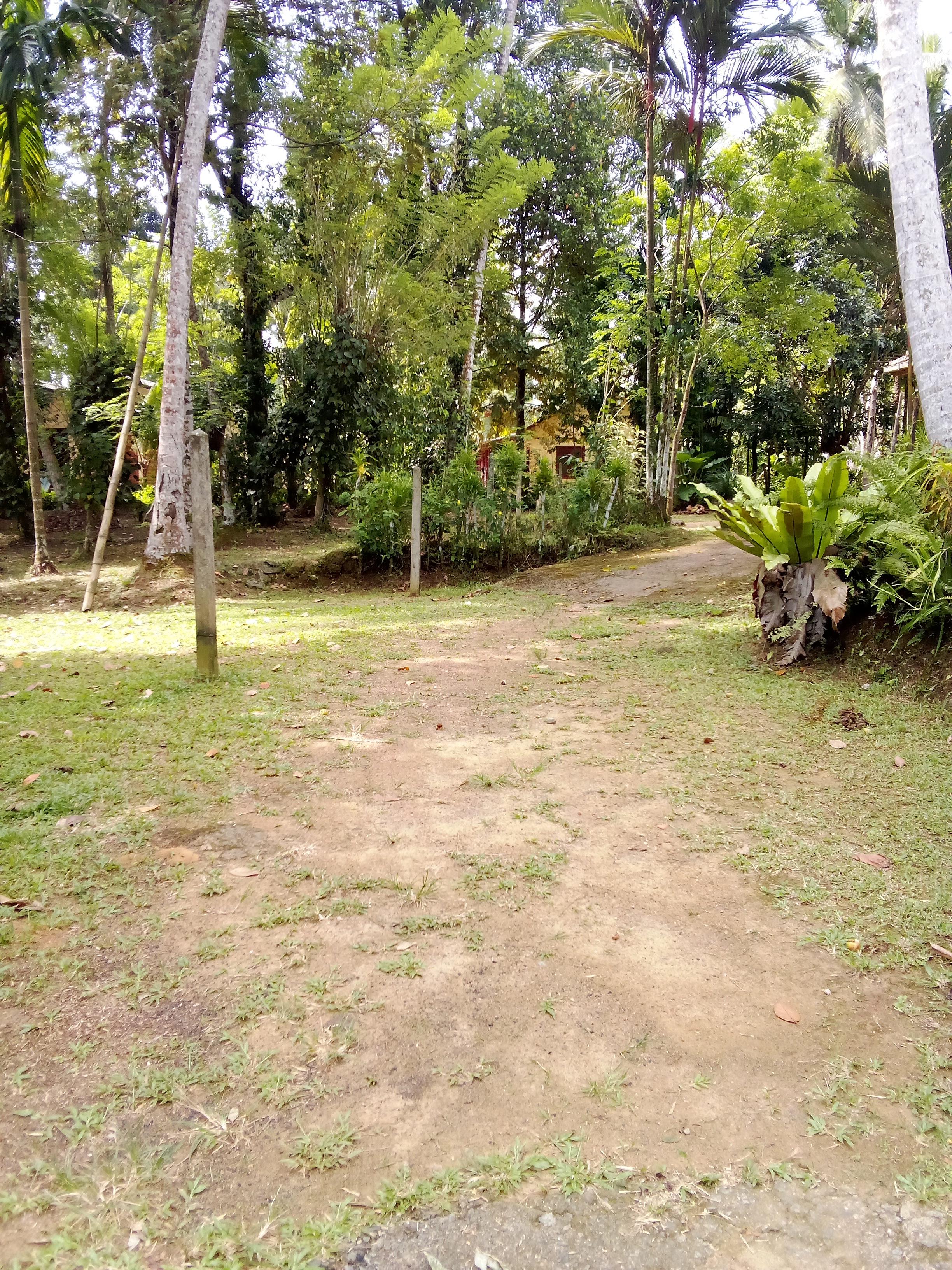 Commercial Land for Sale in Kosgama