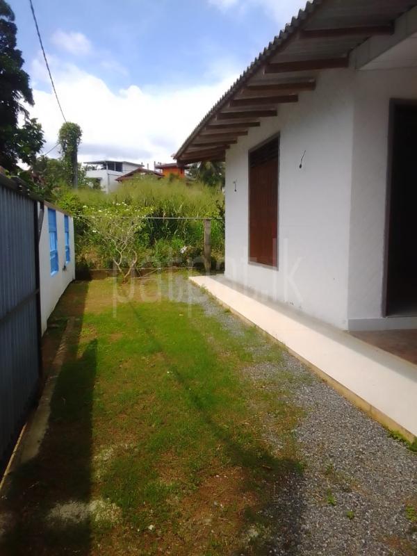 Advertisement image 13