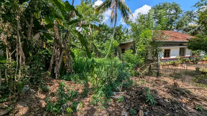 Commercial Land for Sale in Gampaha
