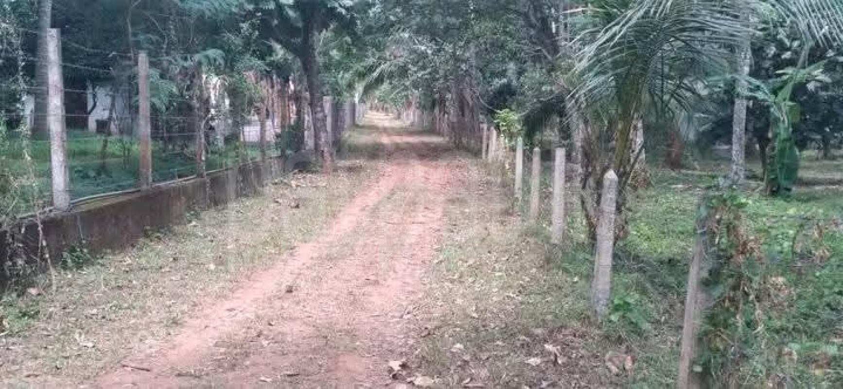 Residential Land for Sale in Madawala Ulpotha ads-image-1