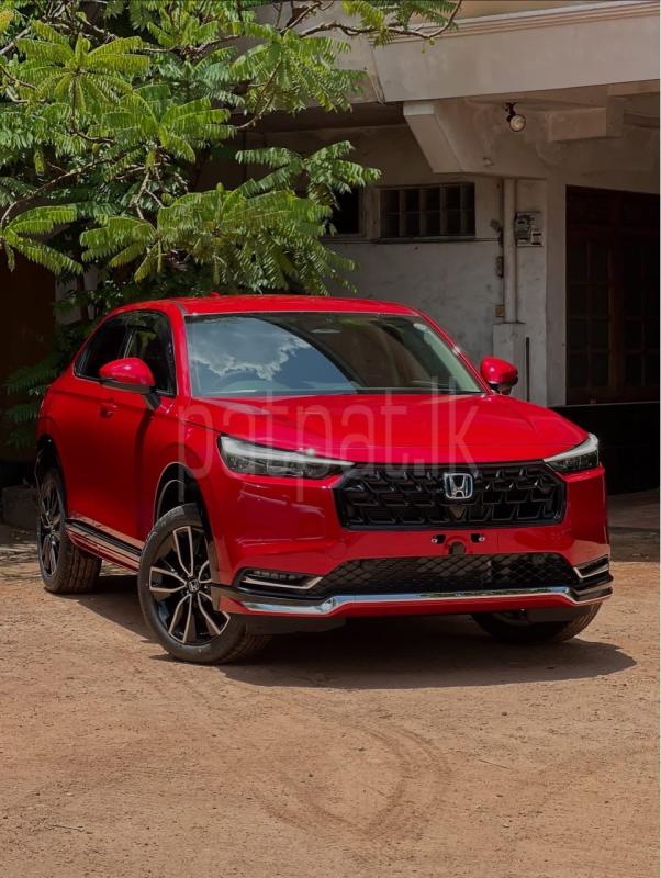 Advertisement image 1