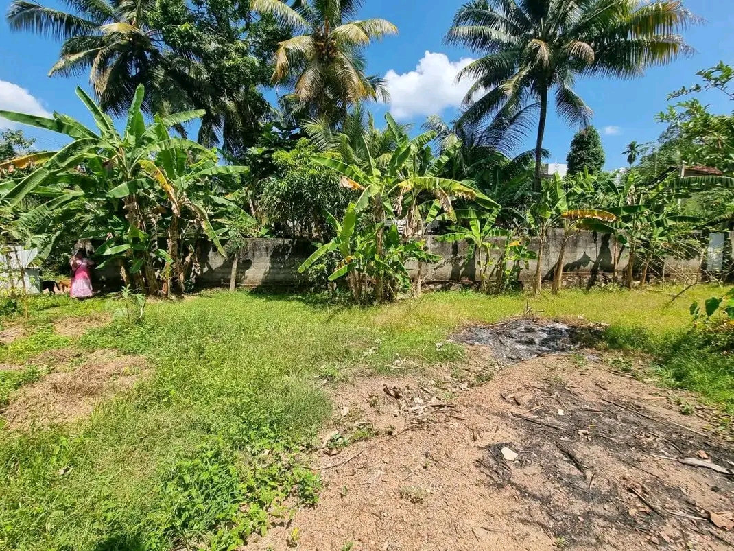Commercial Land for Sale in Kesbewa