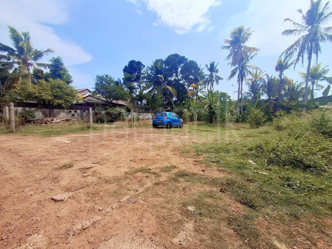 Agricultural Land for Sale in Panadura