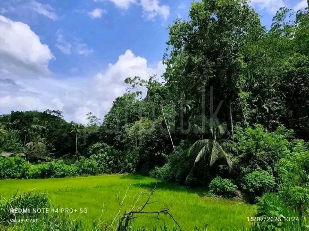 Advertisement image 6