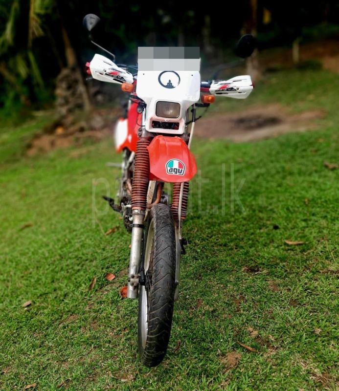 Advertisement image 5