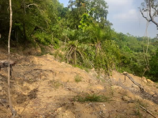 Residential Land for Sale in Galle
