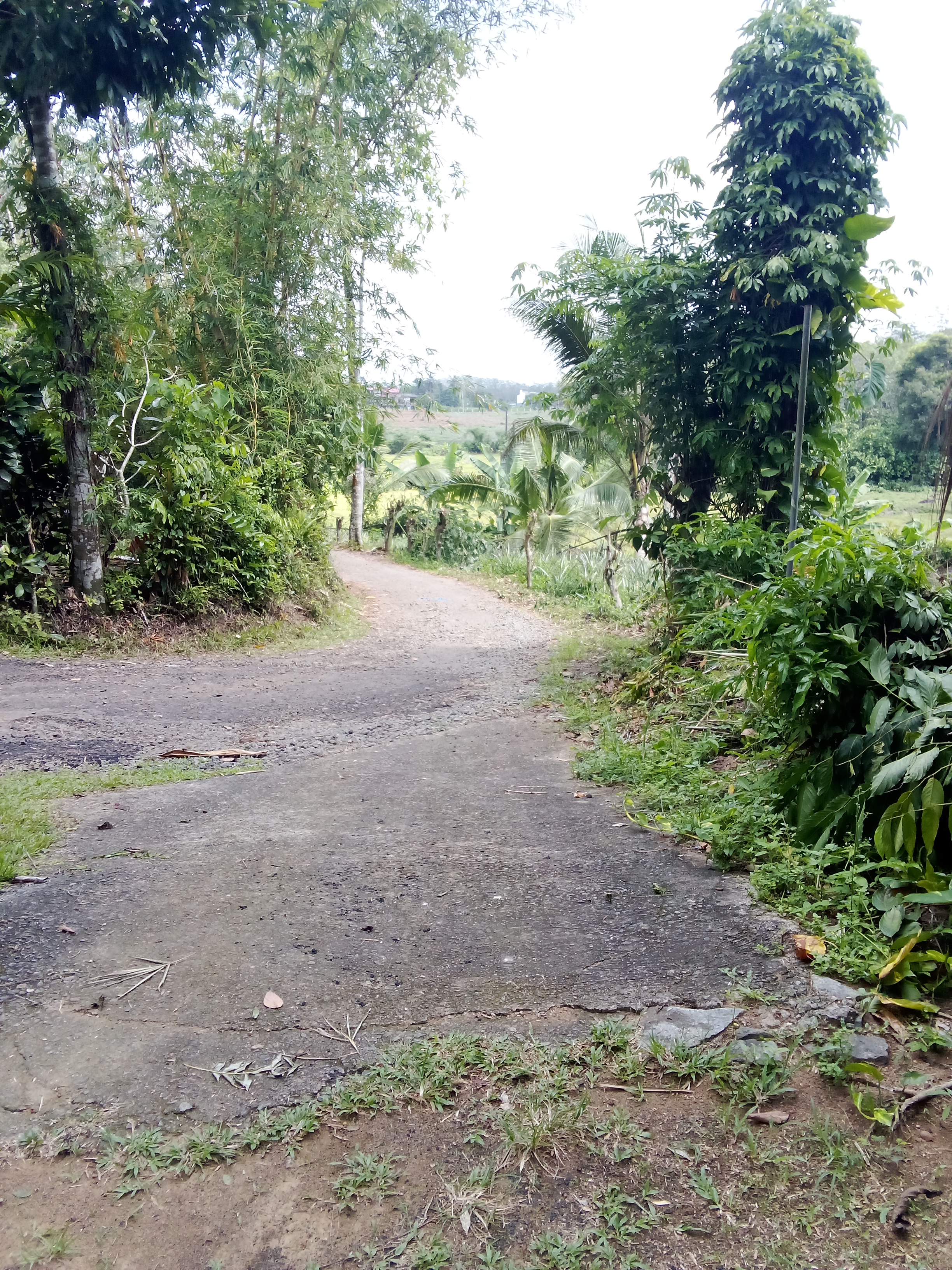 Commercial Land for Sale in Kosgama