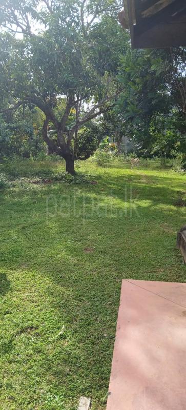 Residential Land for Sale in Kataragama