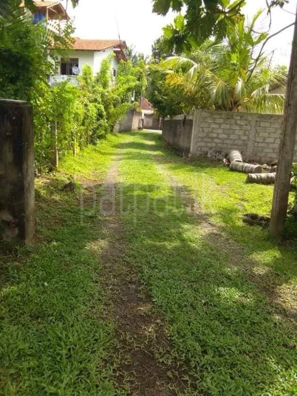 Commercial Land for Sale in Mirissa