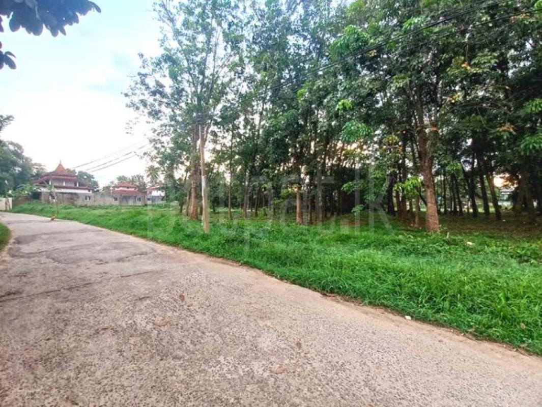 Agricultural Land for Sale in Biyagama