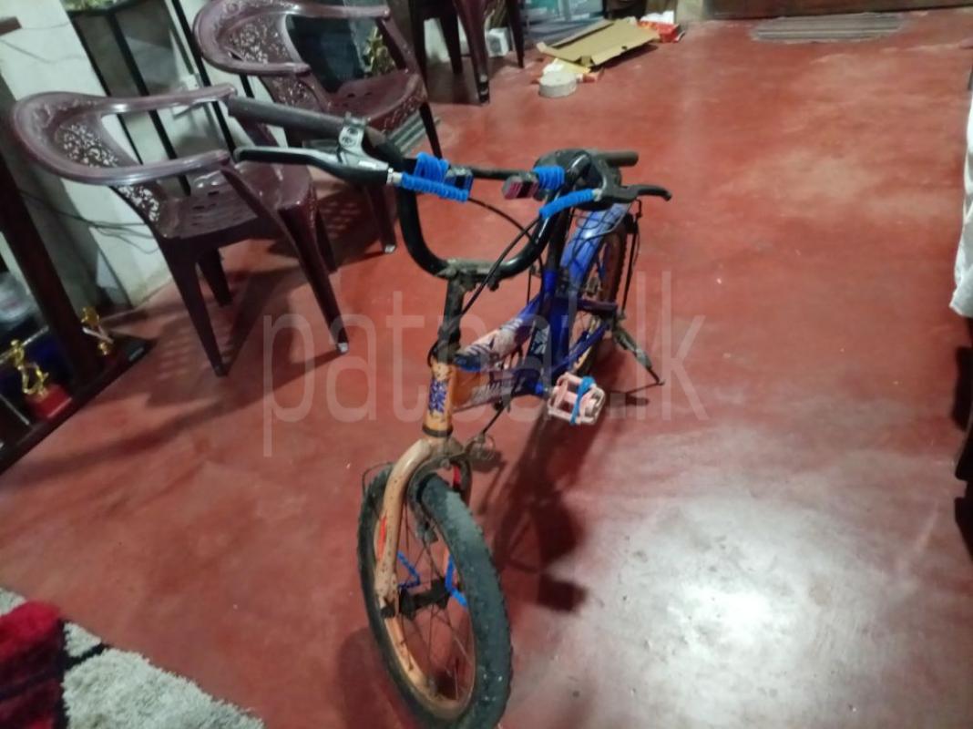 Advertisement image 2