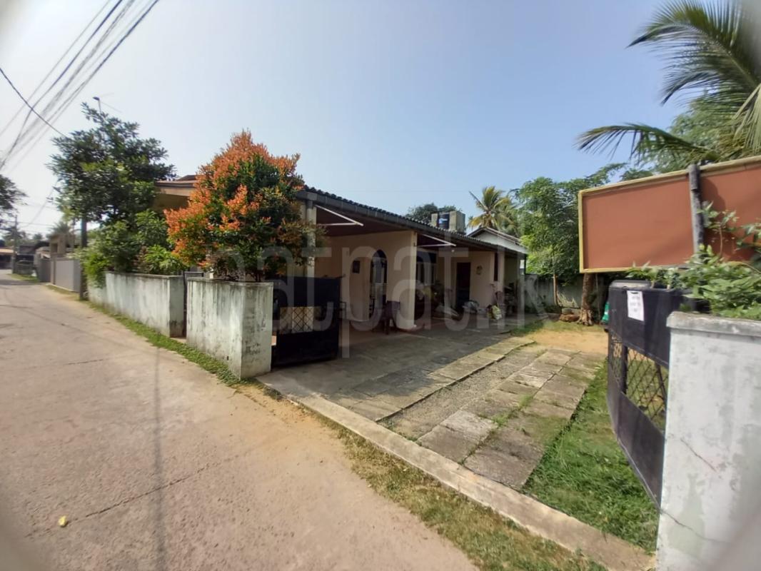 Commercial Land for Sale in Wadduwa ads-image-1