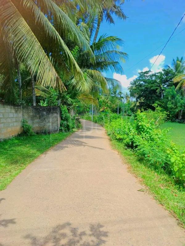 Commercial Land for Sale in Beliatta