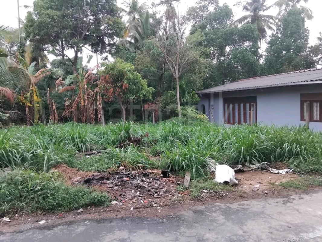 Residential Land for Sale in Kottawa