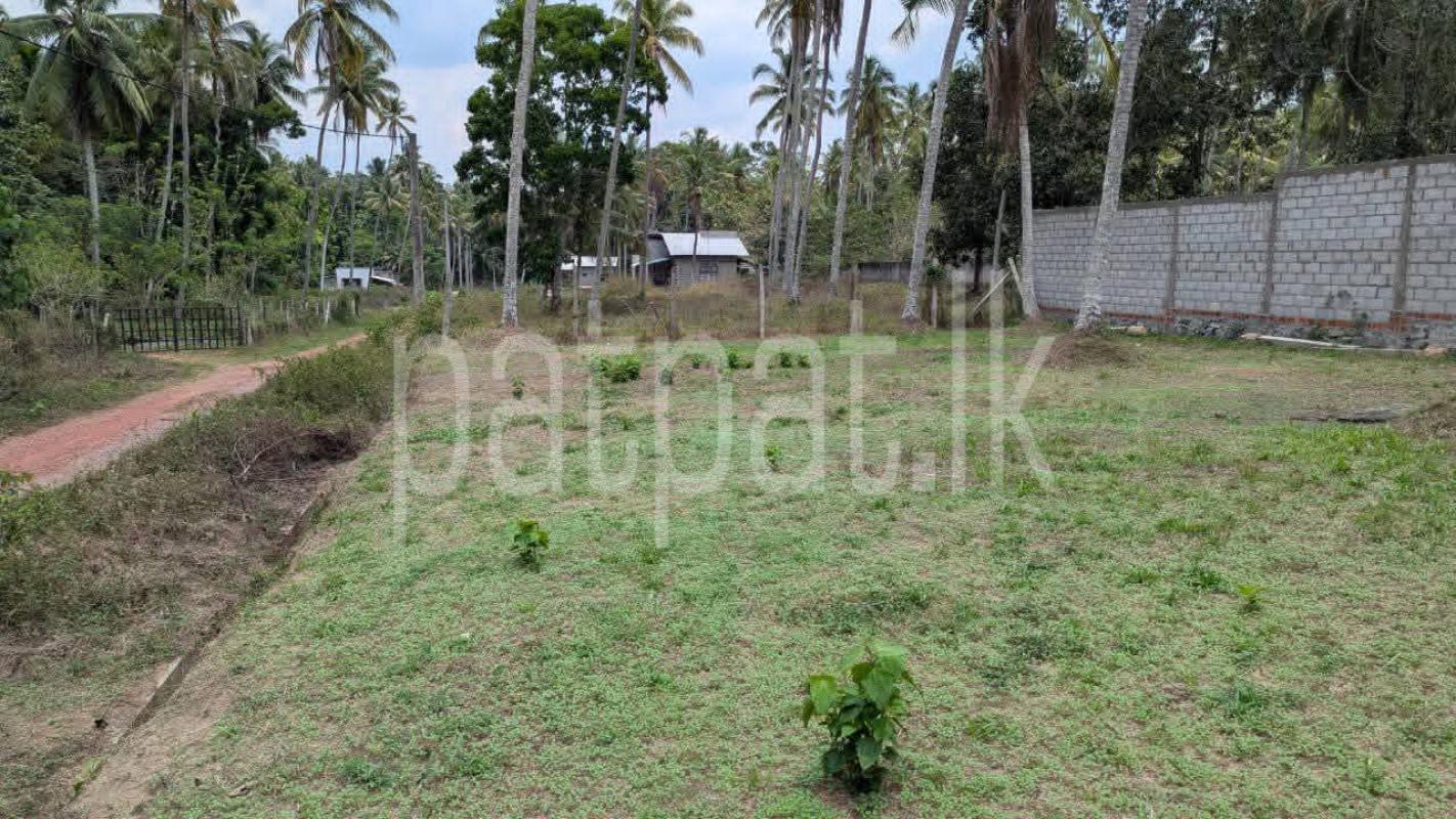 Residential Land for Sale in Dunagaha