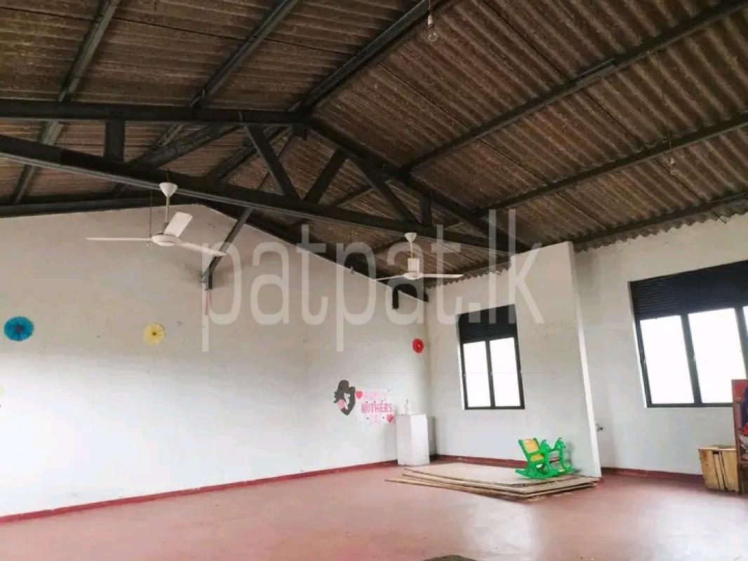 Advertisement image 1