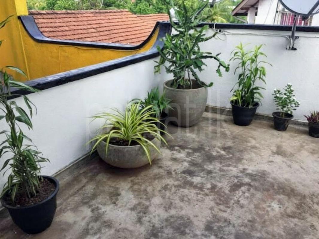 Furnished Apartment for Rent in Narahenpita (Colombo 05)