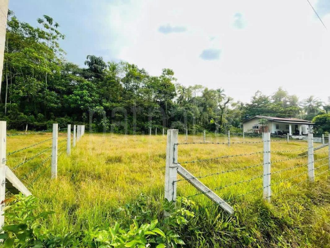Residential Land for Sale in Kadawatha