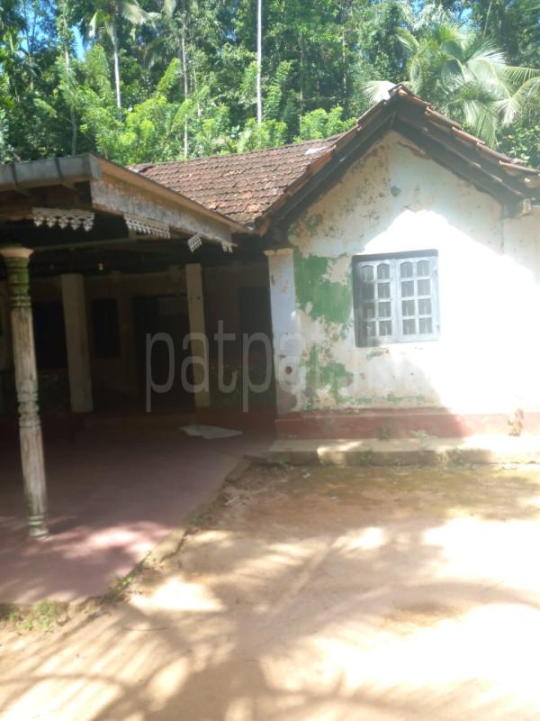 premium-listing-image