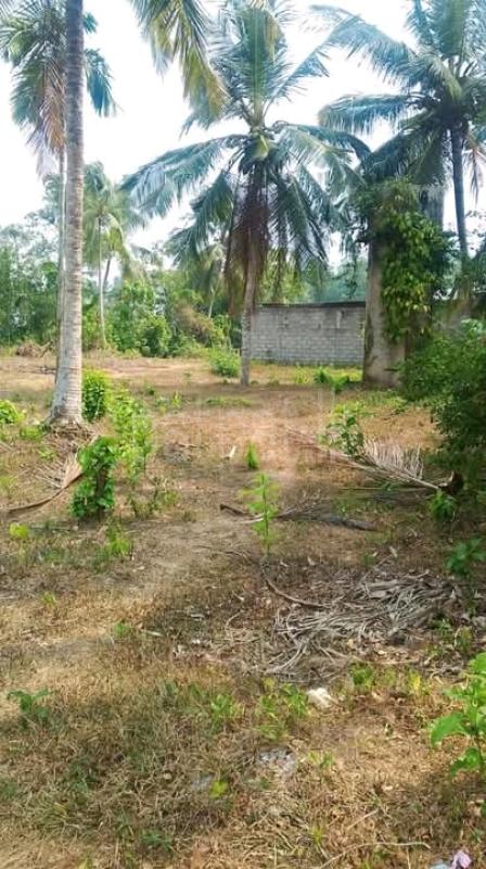 Commercial Land for Sale in Miriswatta