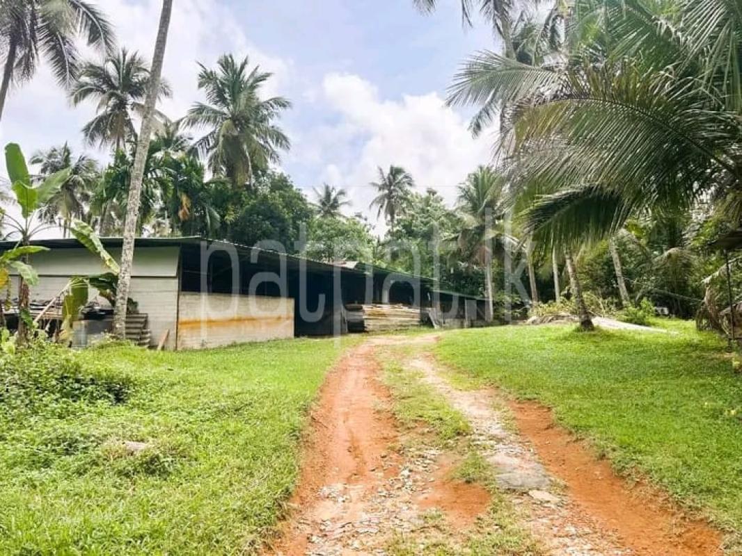 Advertisement image 6