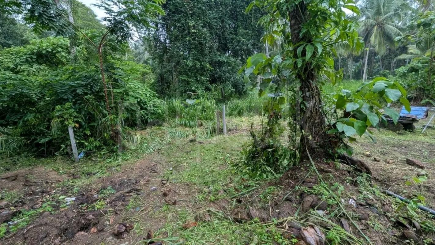 Residential Land for Sale in Piliyandala