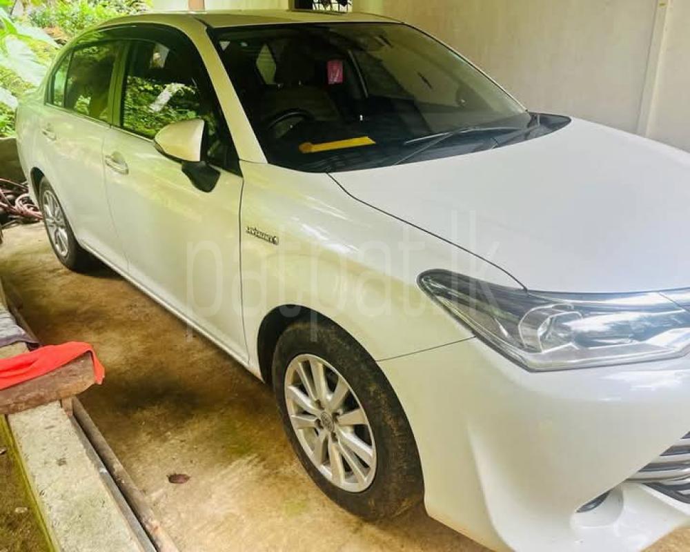 Advertisement image 3