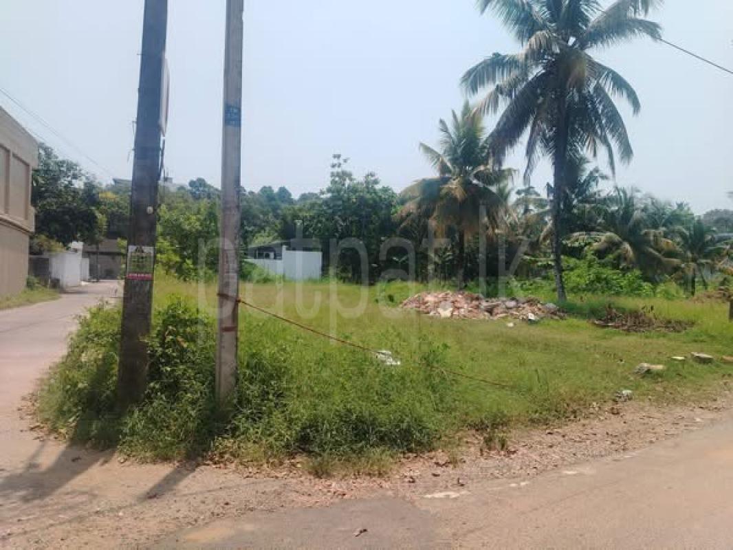 Residential Land for Sale in Kolamanthalawa