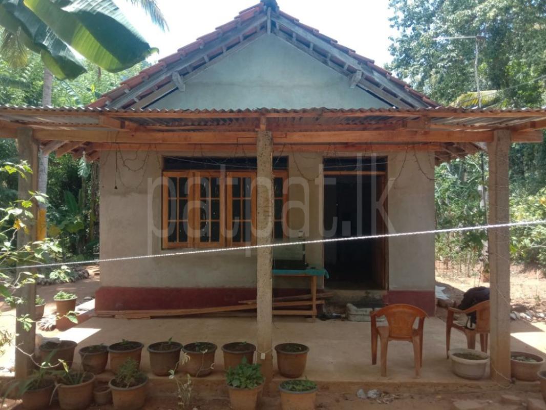 House for Sale in Embilipitiya ads-image-1