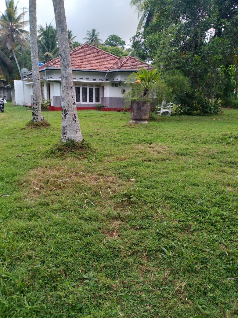 House for Rent in Wadduwa