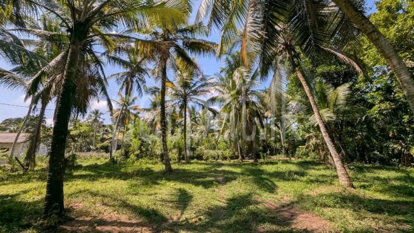 Agricultural Land for Sale in Maho