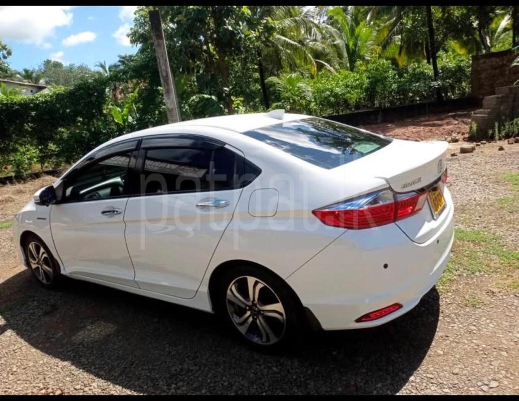 Advertisement image 1