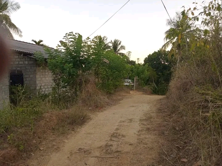 House for Sale in Beliatta