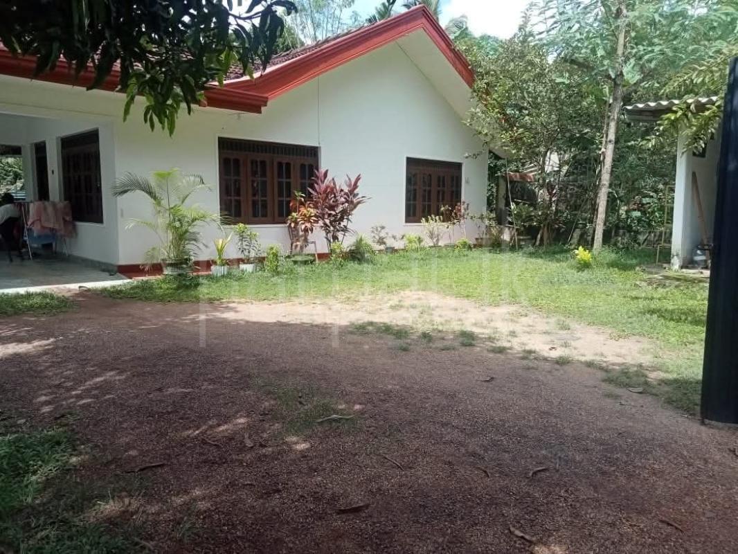 House for Sale in Kurunegala ads-image-1