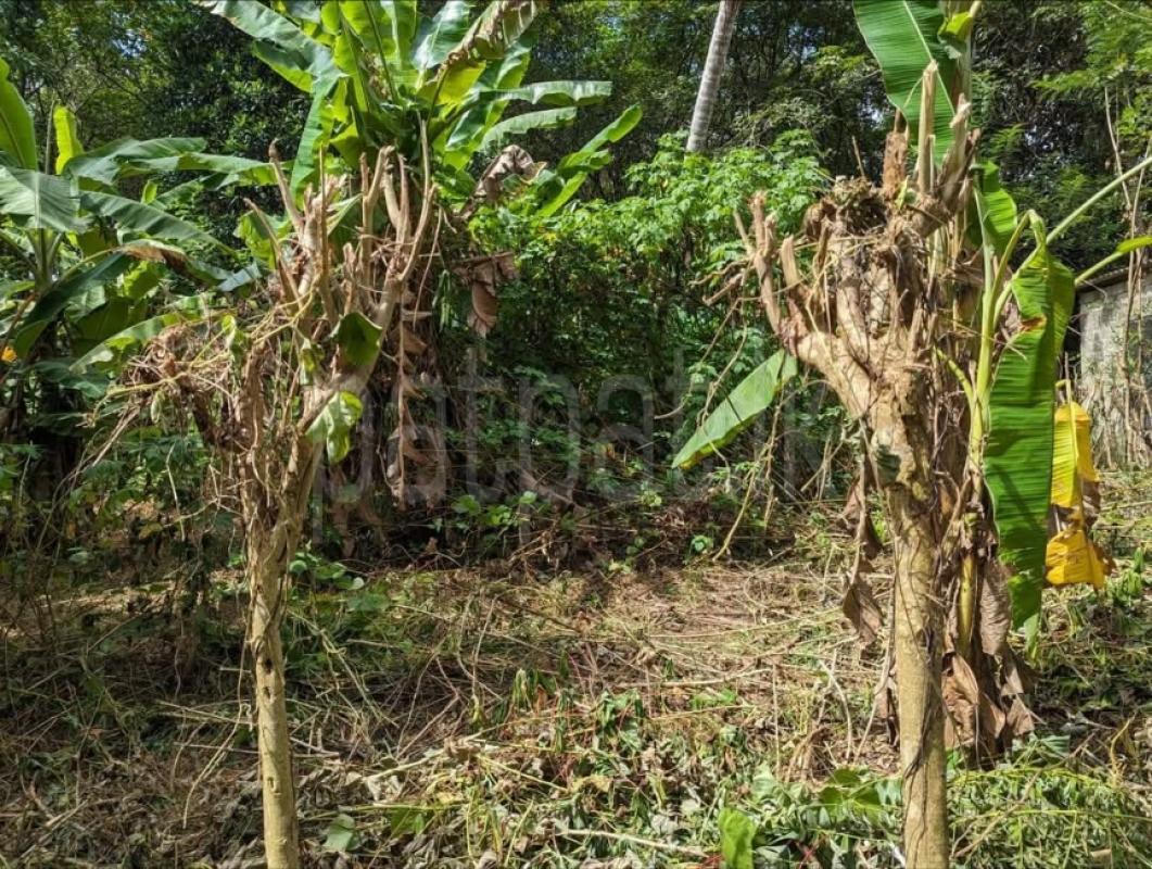 Residential Land for Sale in Kalagedihena ads-image-1