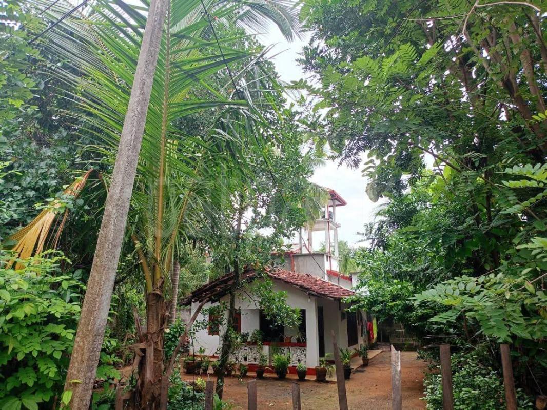 Residential Land for Sale in Kataragama