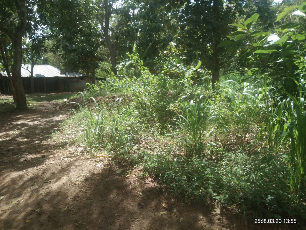 Agricultural Land for Sale in Lunugamwehera ads-image-1