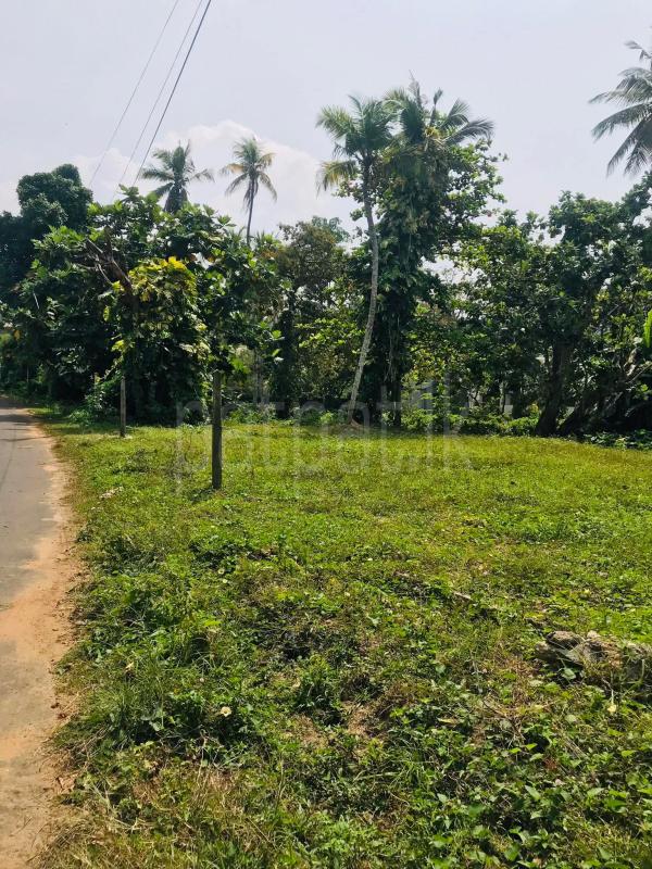 Commercial Land for Sale in Karapitiya ads-image-1