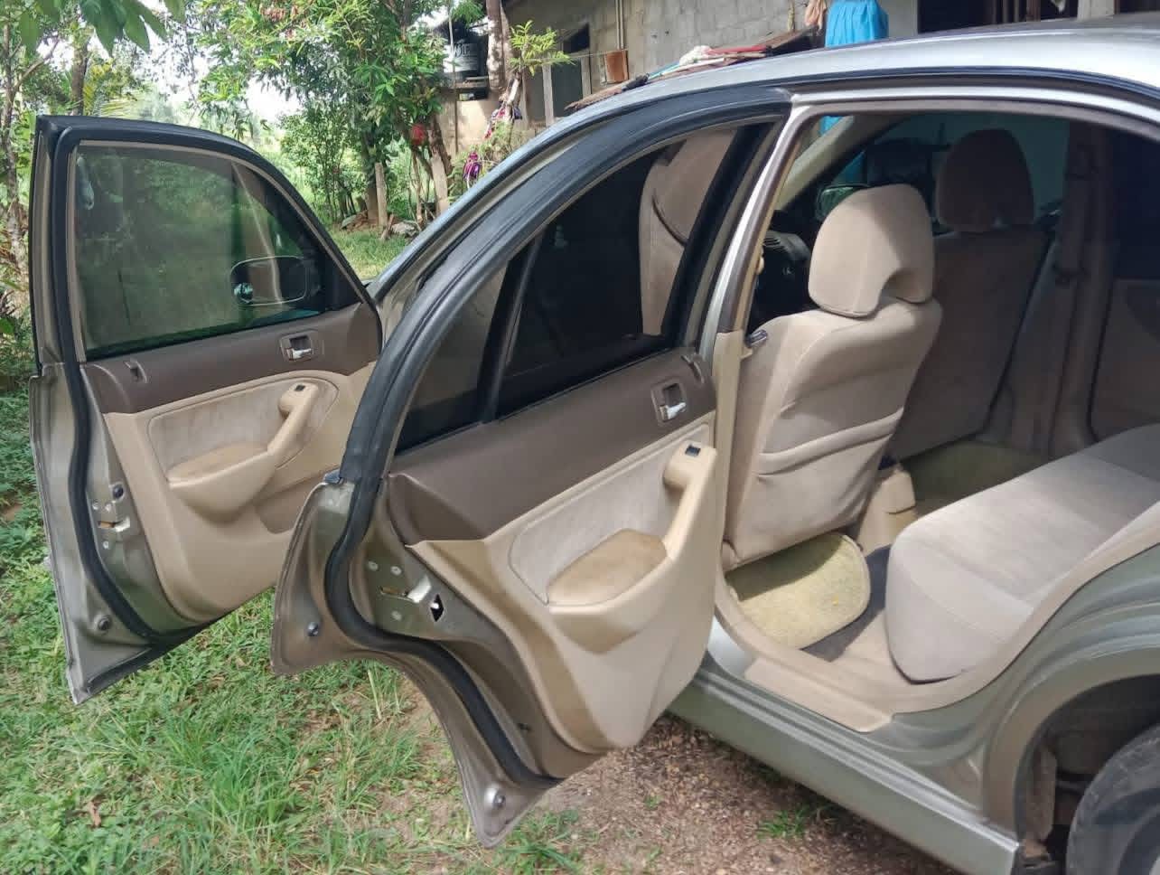 Advertisement image 3