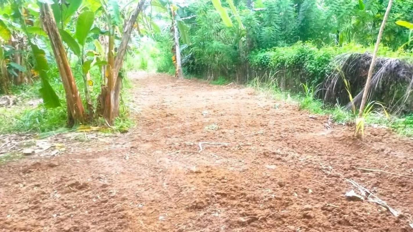 Agricultural Land for Sale in Mirigama