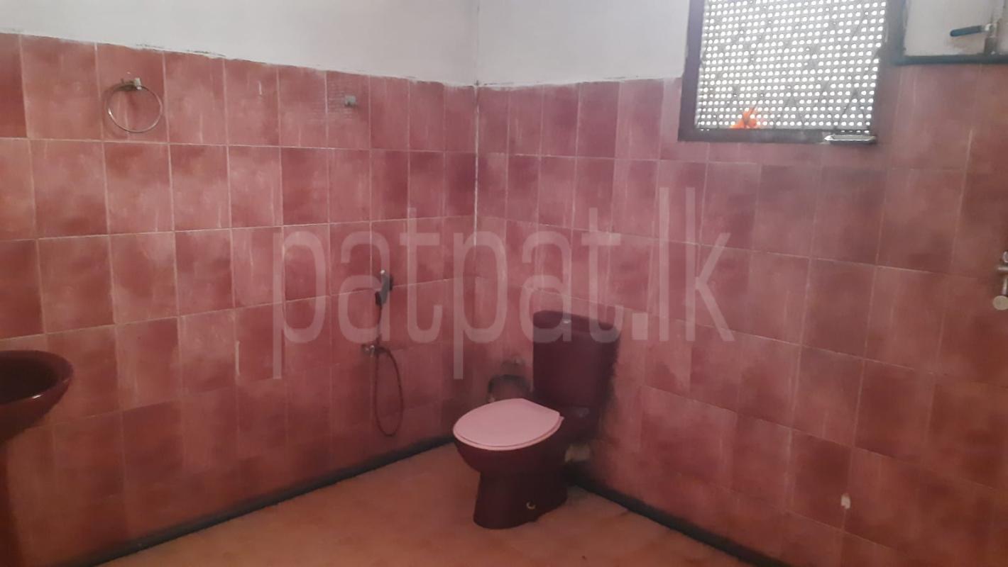 House for Rent in Malabe