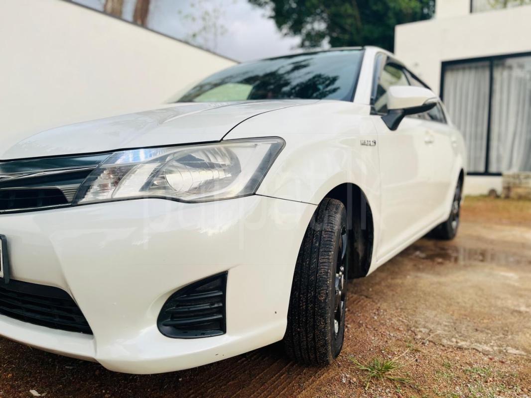 Advertisement image 2