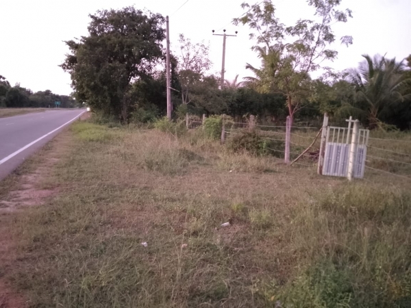 Commercial Land for Sale in Dehiwala