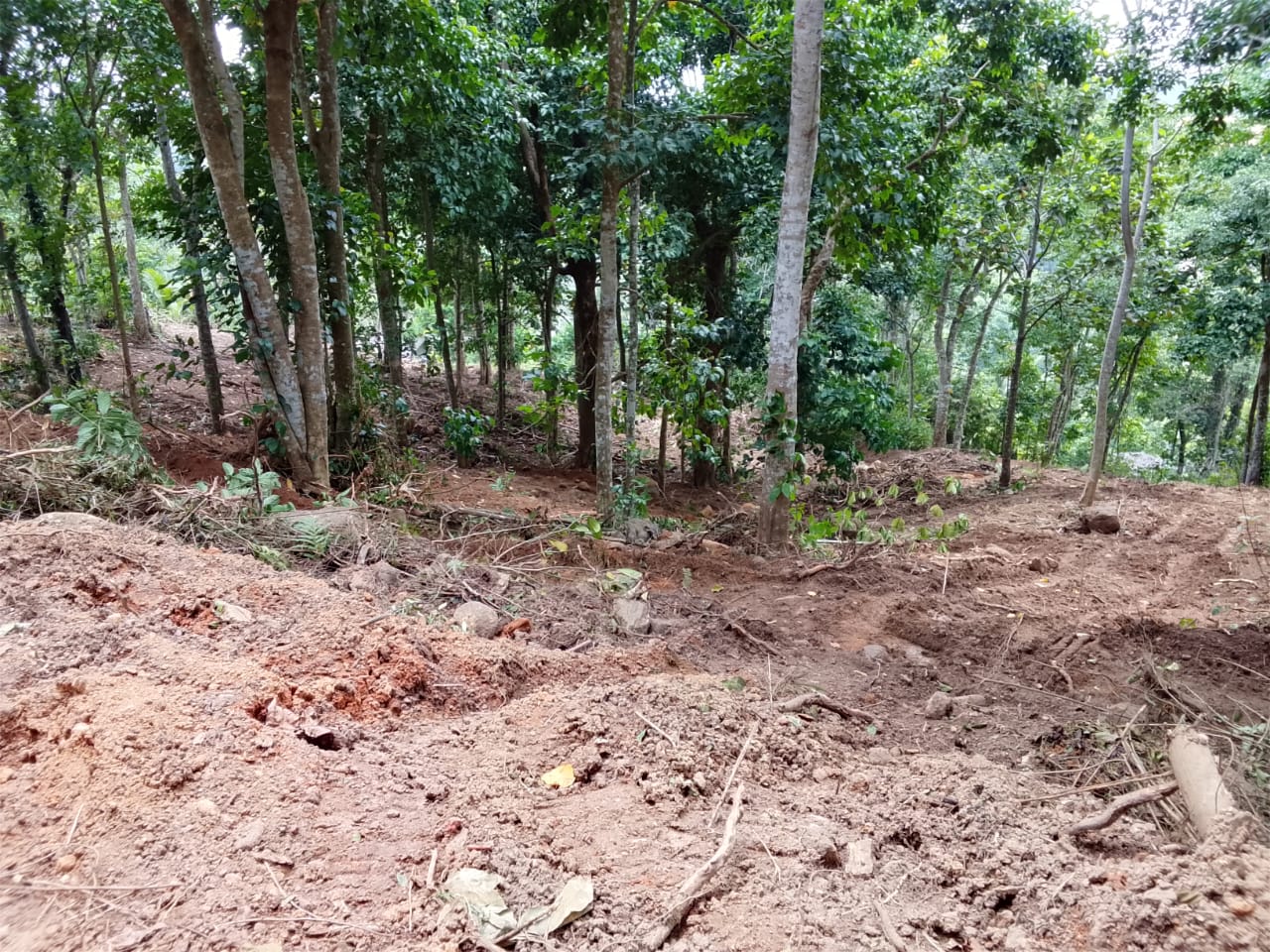 Residential Land for Sale in Mapalagama
