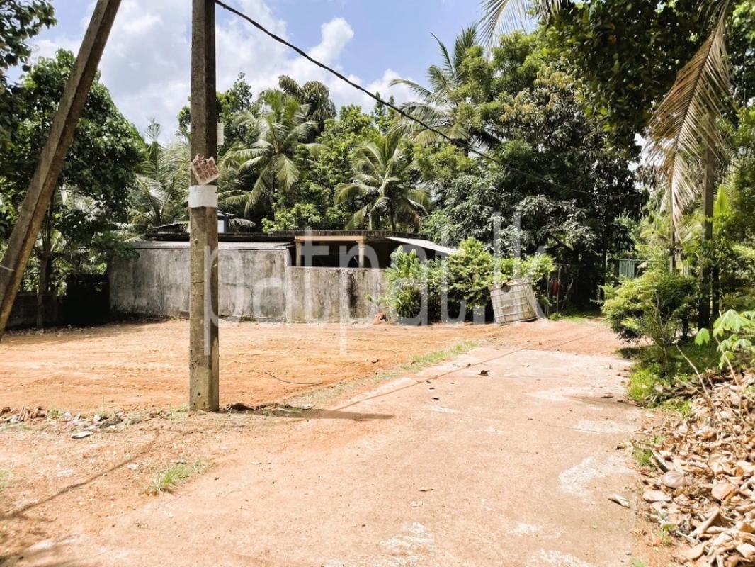 Advertisement image 1