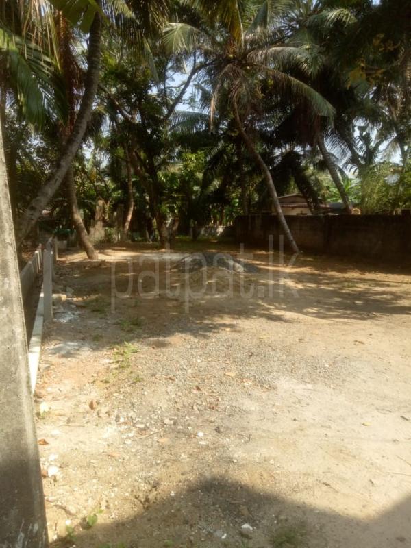Residential Land for Sale in Wattala ads-image-1